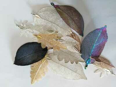 Natural Leaf Jewellery