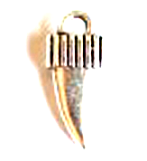 Charm Acorns