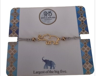Entle Elephant 