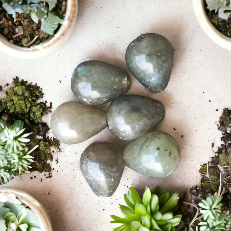 Labradorite  Drops(6pcs)