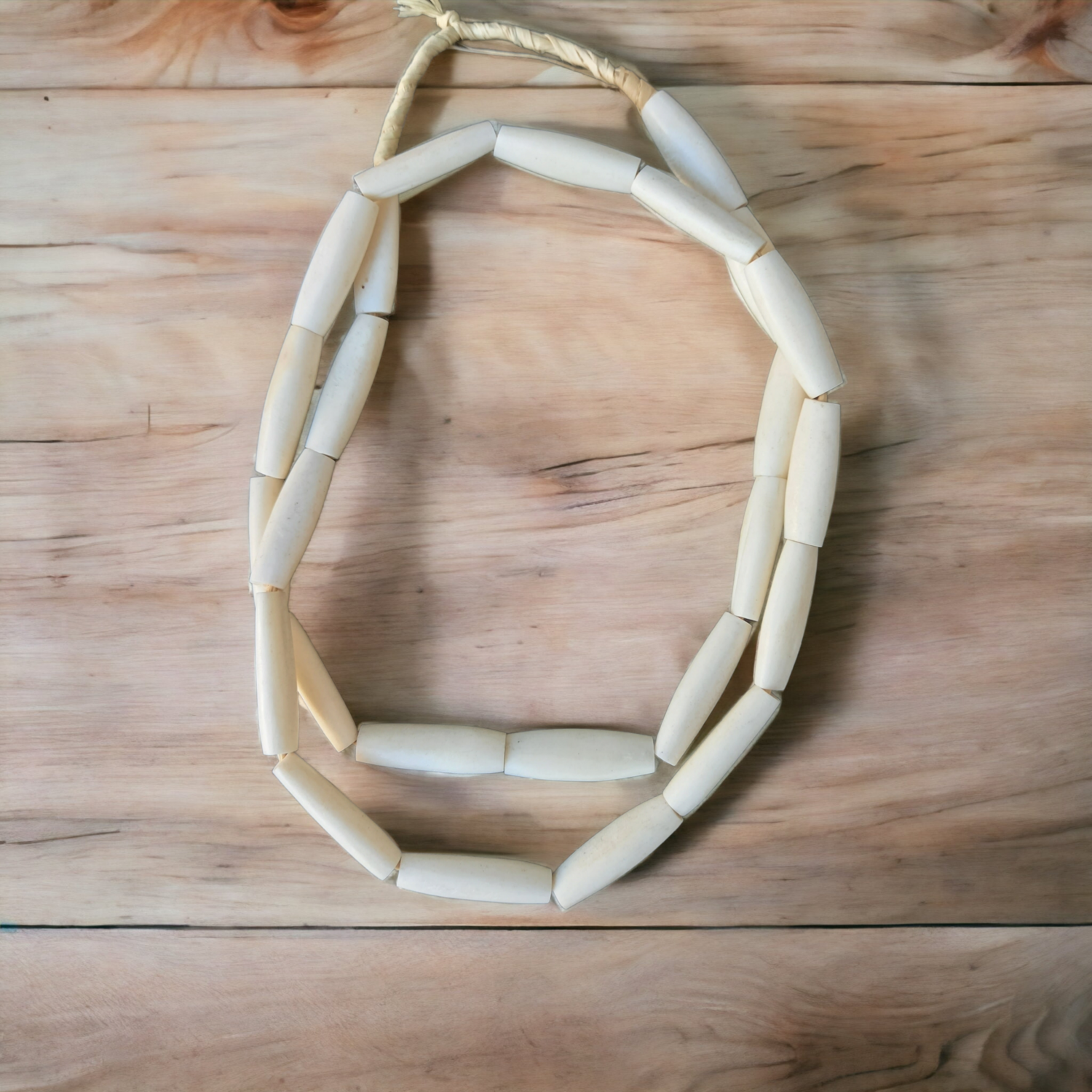 Afri004: Bone