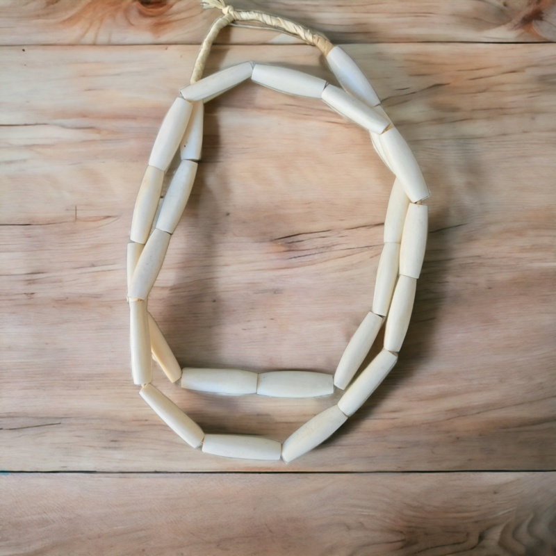 Afri004: Bone