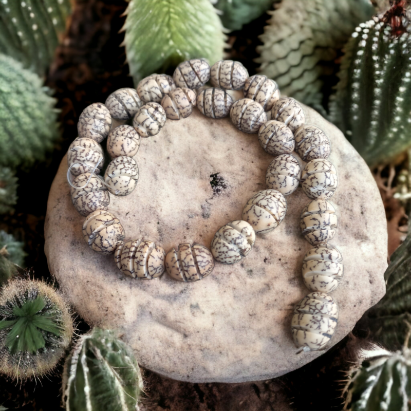 Lotus root