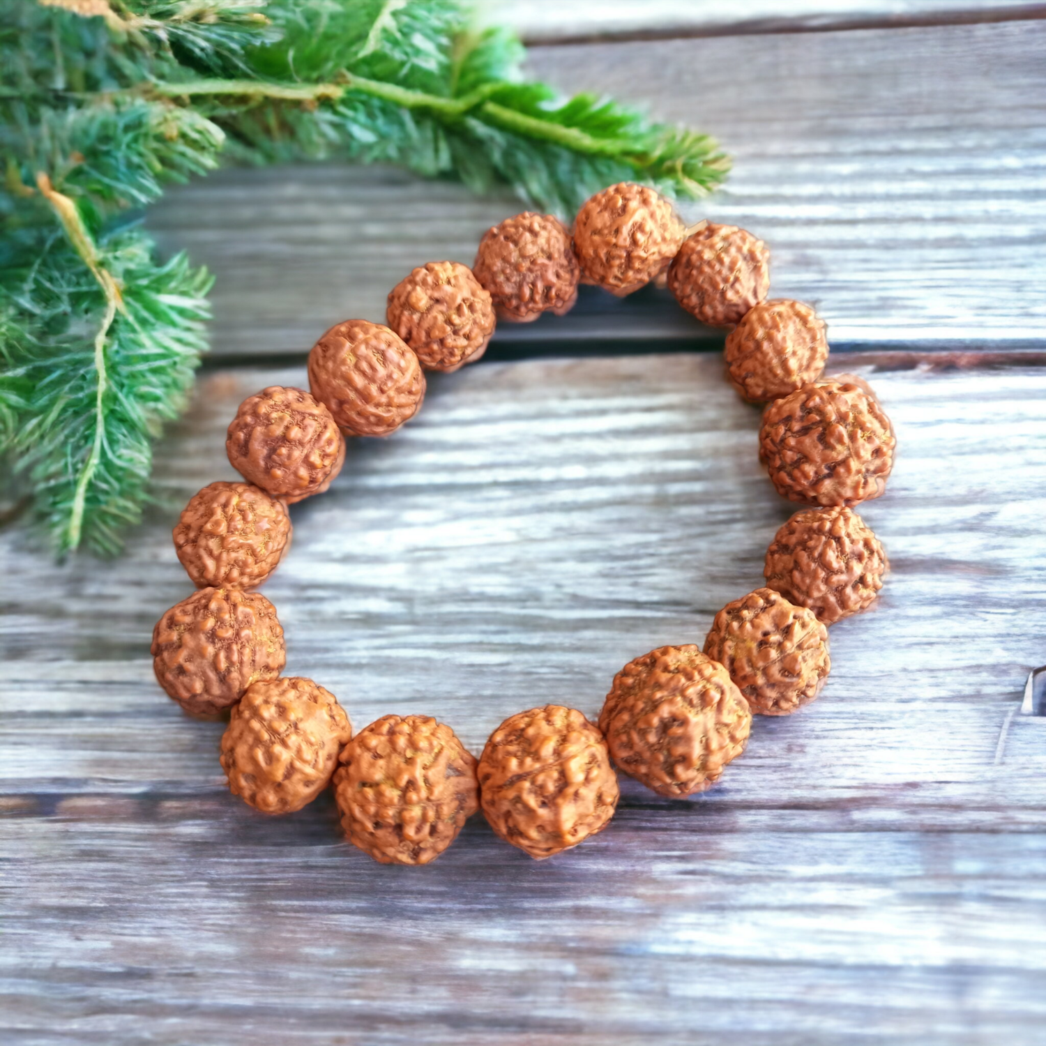 Rudraksha 01