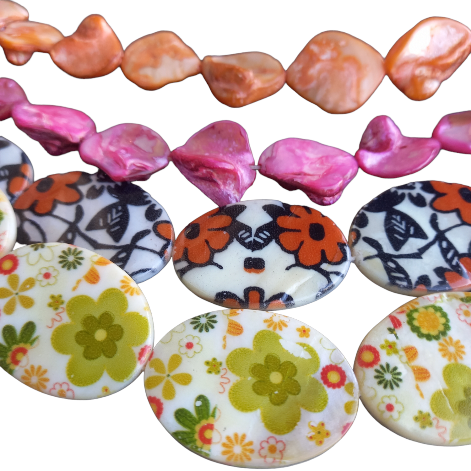Shell & Coral