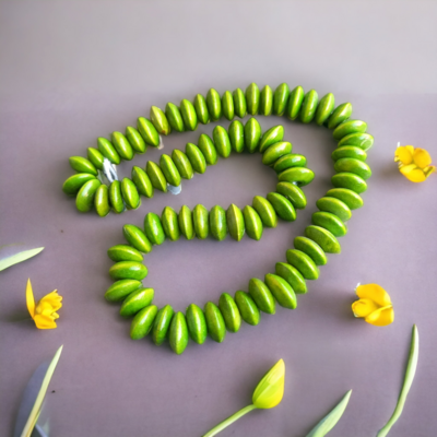 disk 05: 08x3mm(string)