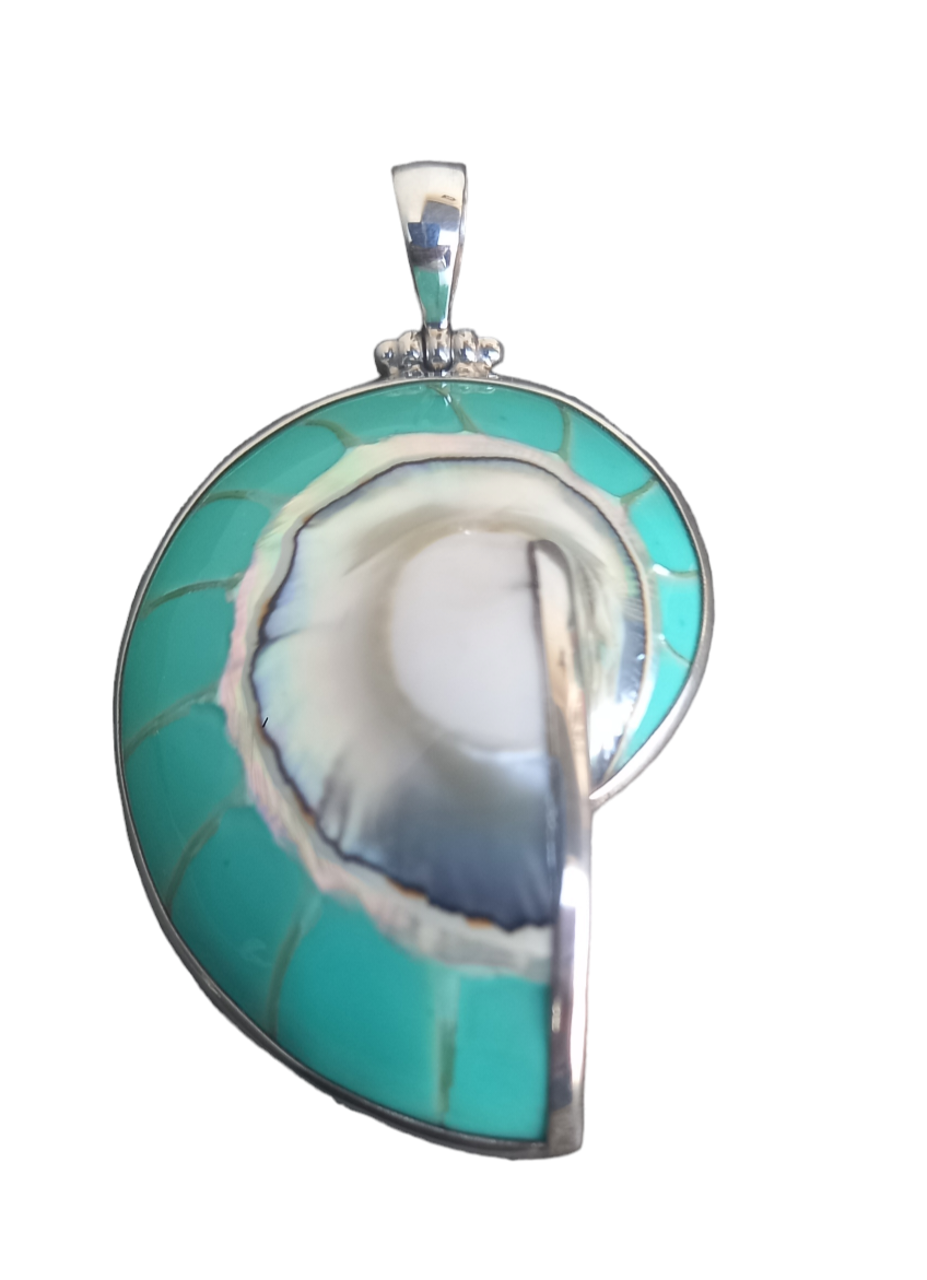 Nautilus pendant