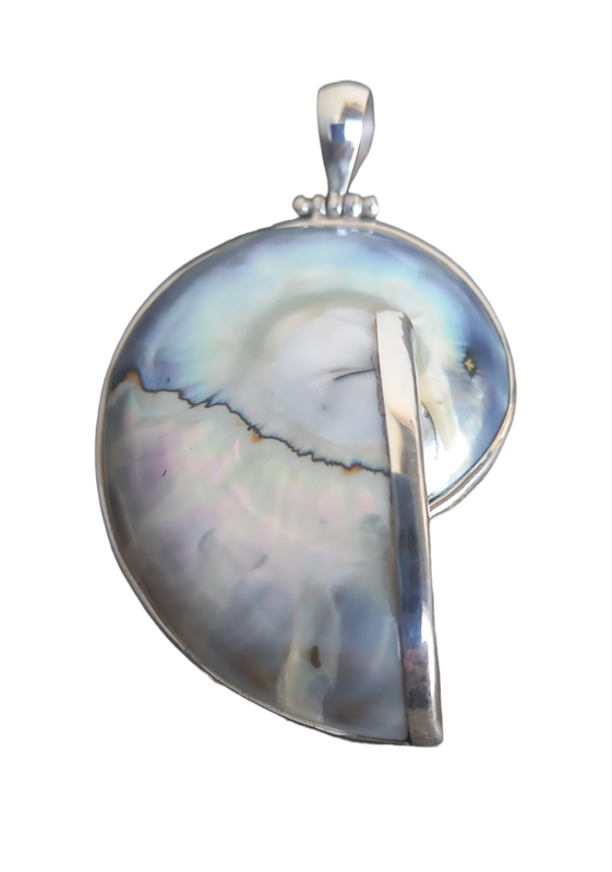 Nautilus pendant