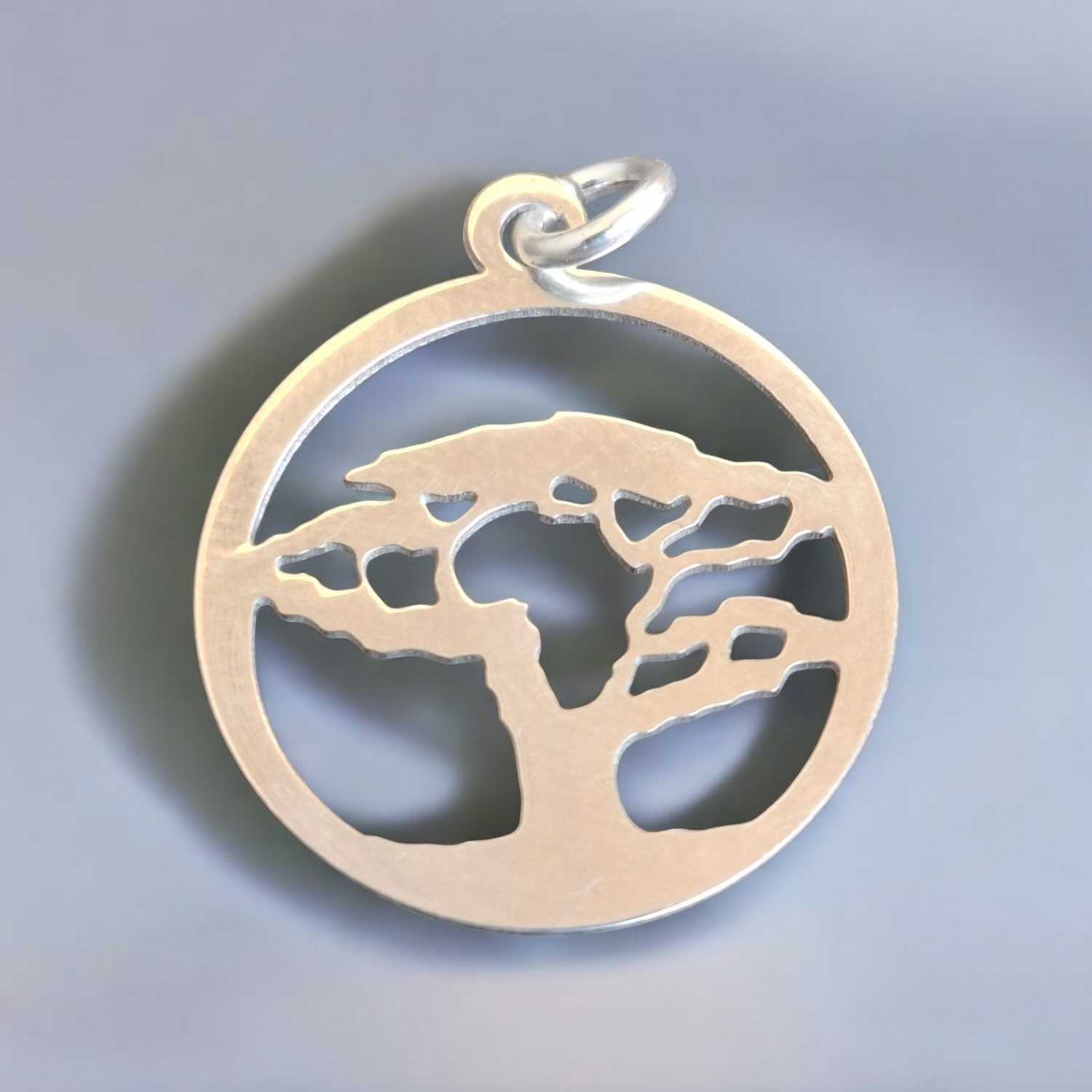 SA00911: Africa Baobab tree