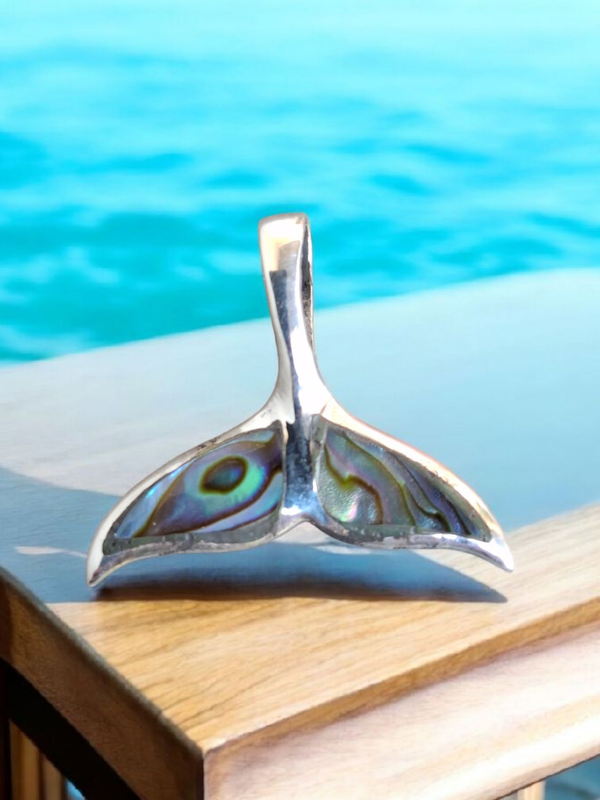 Abalone 001: Whale Tale