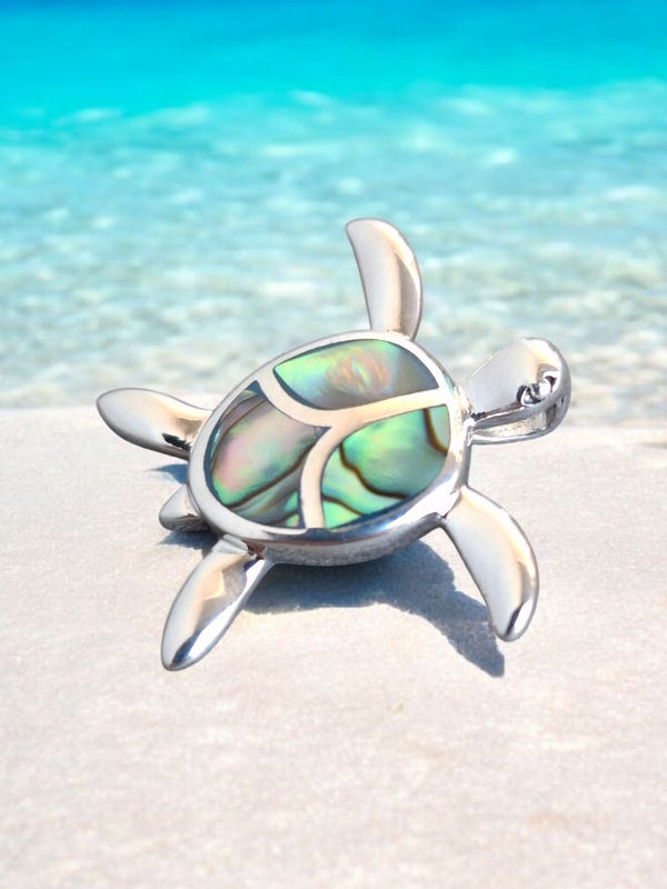 Abalone 009: Turtle 