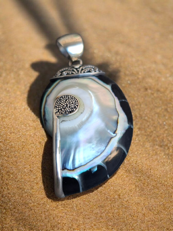 Nautilus pendant