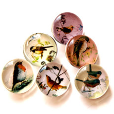Interchangeable Buttons