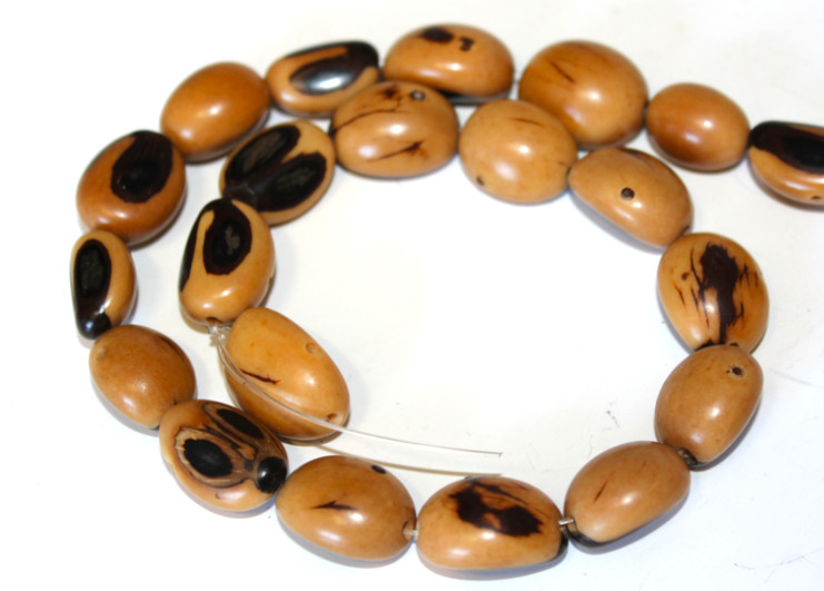 Natural Seedpod