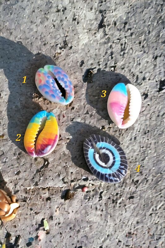 Cowry shell 4(1pcs)