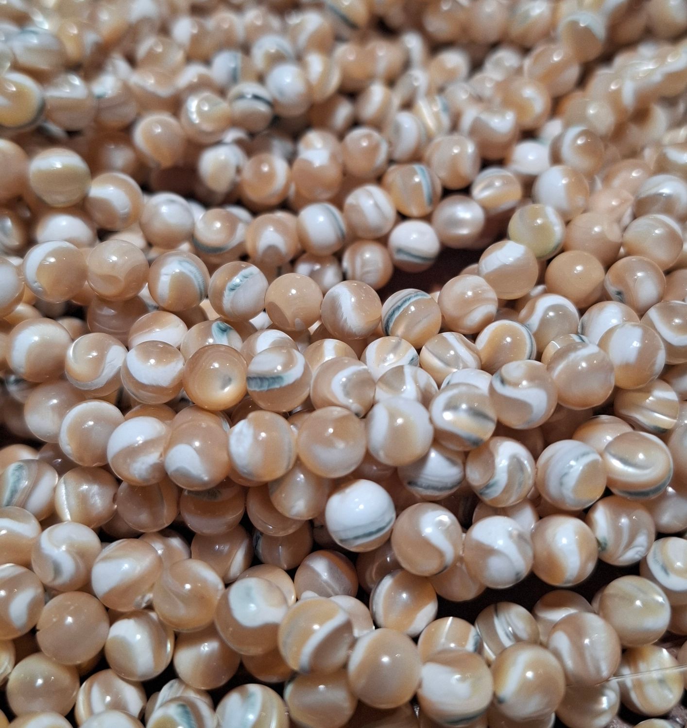 Shell round 6mm