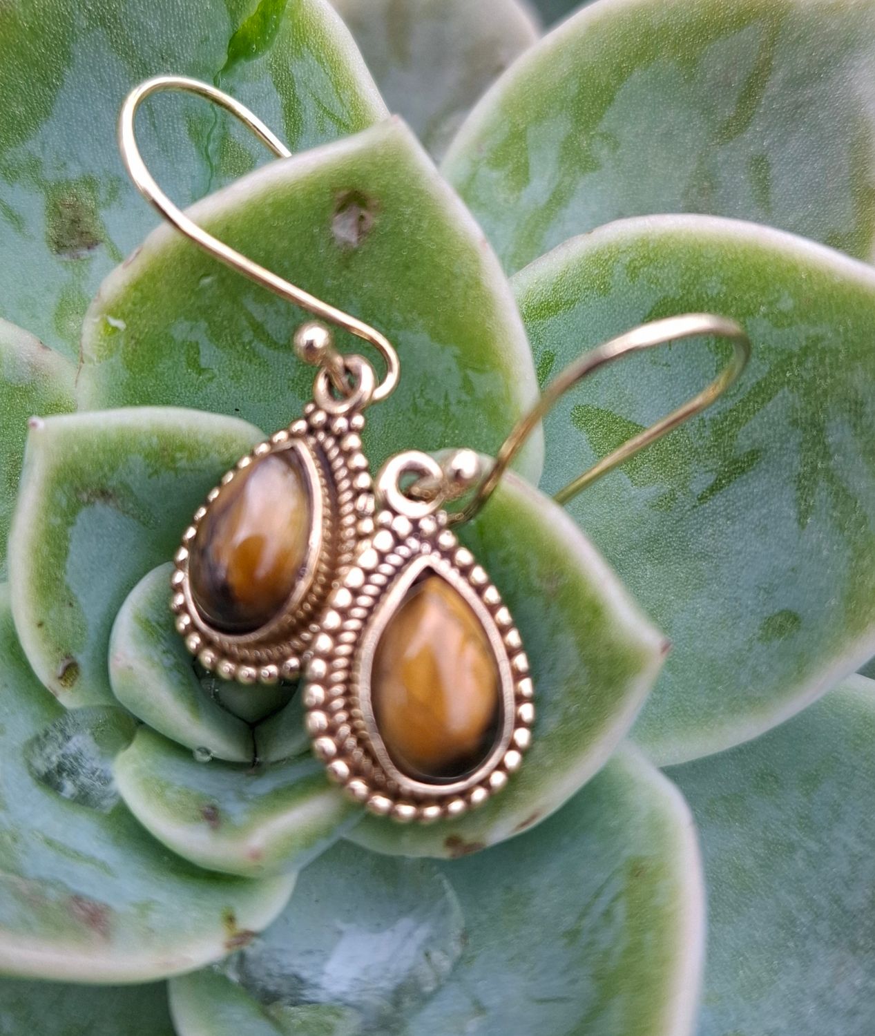 Brass Earrings; 1 pair