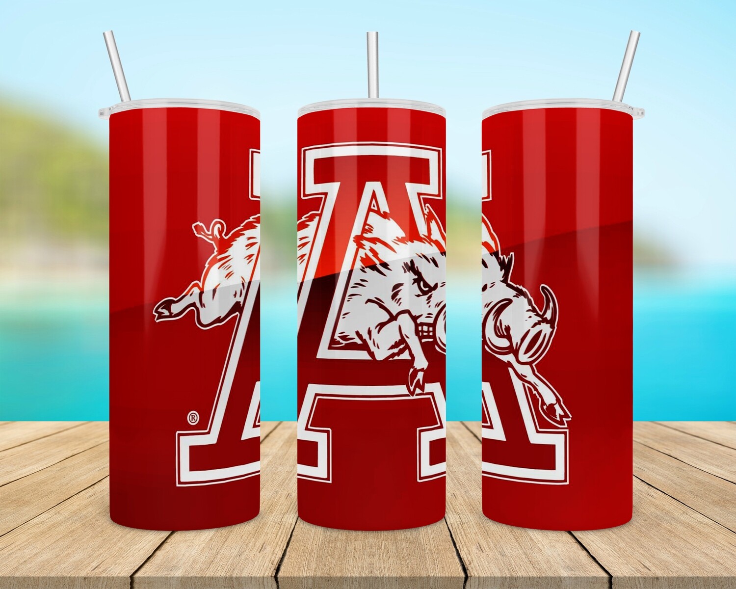 Arkansas Razorbacks Football Tumbler