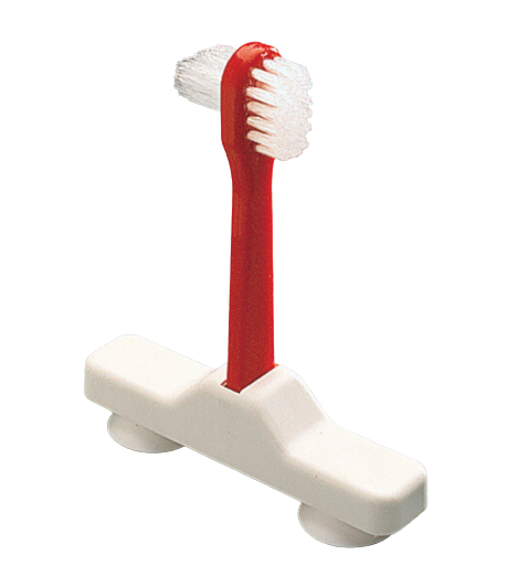 Suction Denture Brush