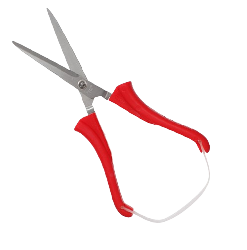 Loop Scissors