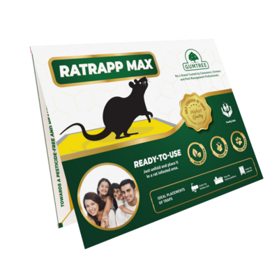 Ratrapp Max (Rat Glue Trap - Big)