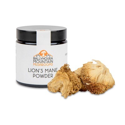 Lions Mane Powder