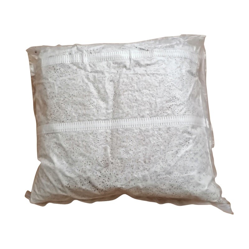 King Stropharia aka "Winecaps" Spawn