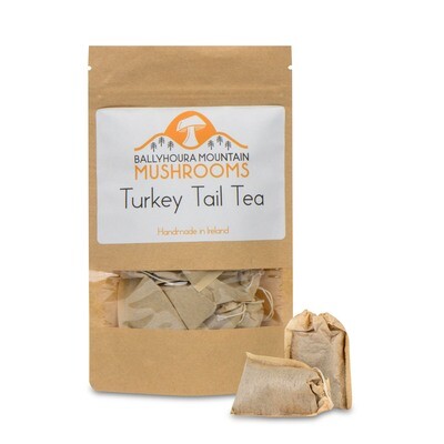 Turkey Tail Tea