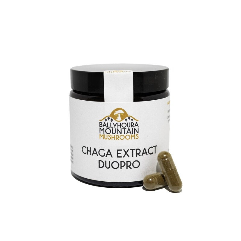 Chaga Extract Duopro Chaga Extract Duopro