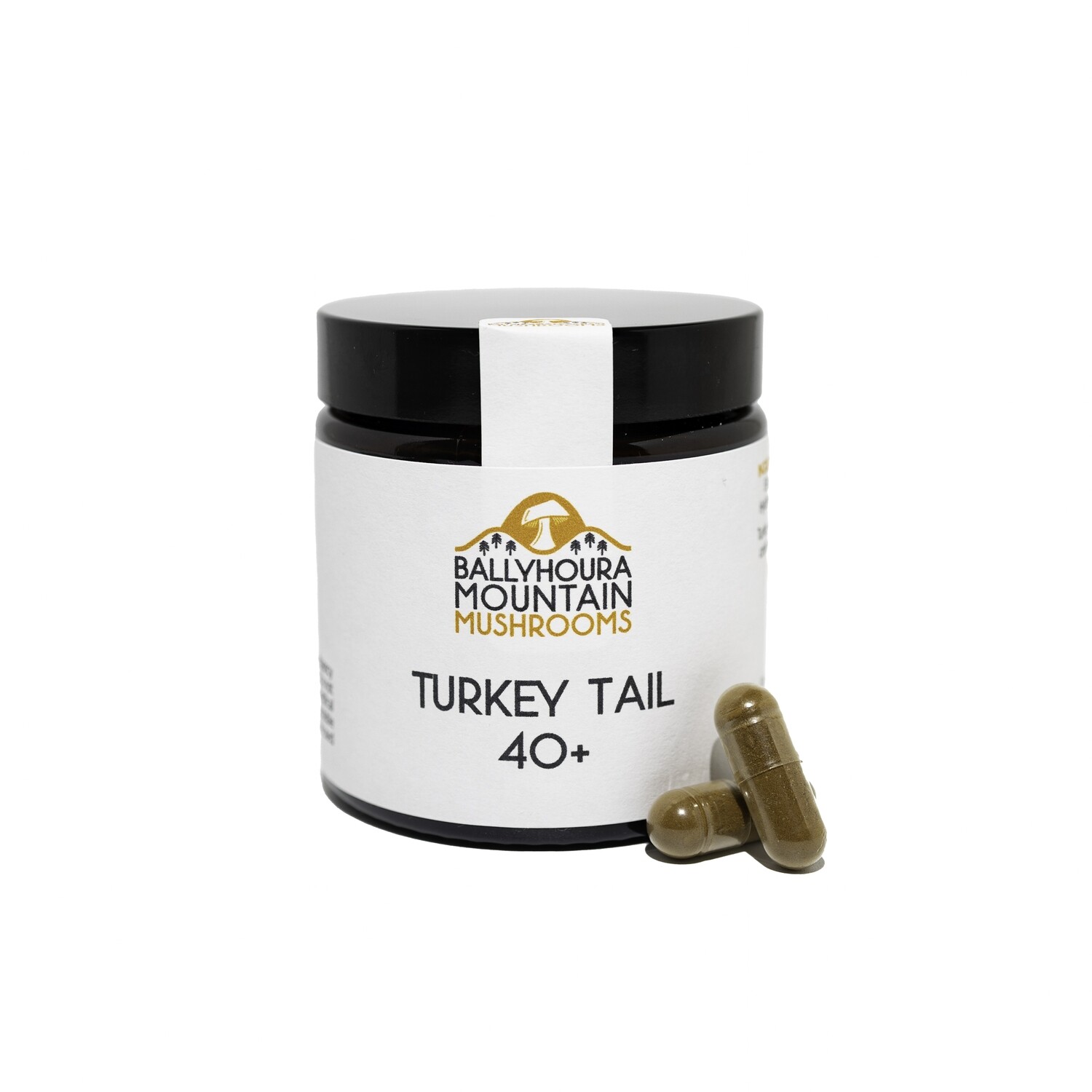 Turkey Tail Extract 40+