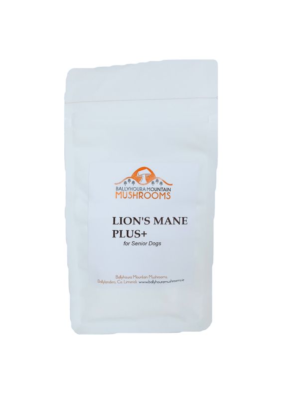 Lions Mane Plus+ for Senior Dogs