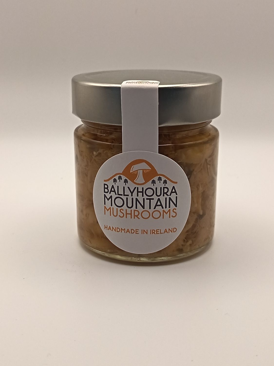 Fermented Lions Mane