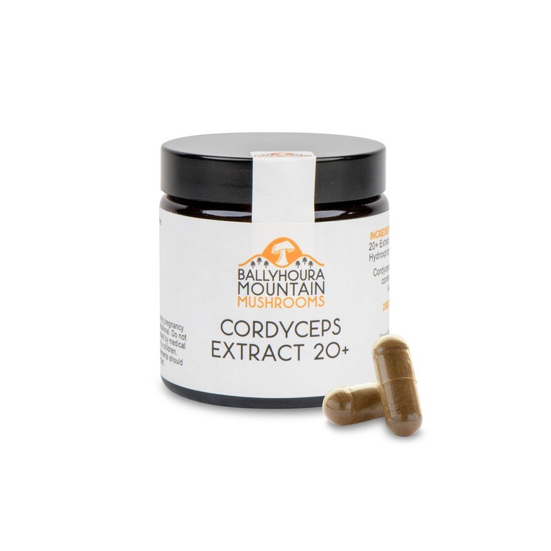 Cordyceps Extract 20% Cordyceps Extract 20%