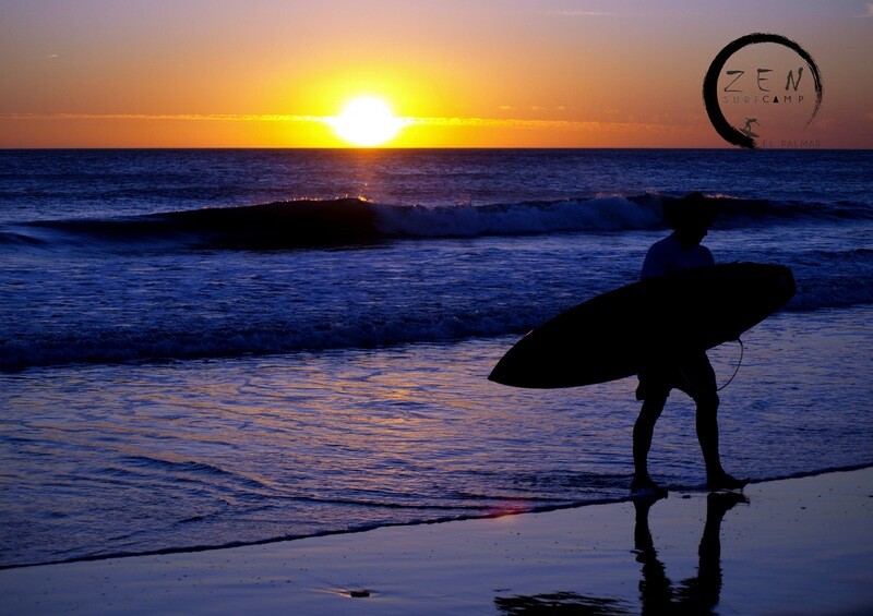 SURF SCHOOL
