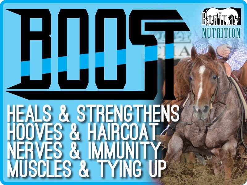 BOOST - a Concentrated &amp; Complete Feed with Salt &amp; Oxy-Equine Enhanced Vitamin-Mineral Supplement - 40lb Bag - 20-80 Feedings