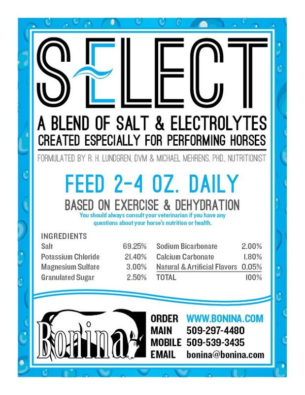 S-ELECT - Electrolytes For Deep Hydration Equine Supplement  - 10lb Bag - 80 Feedings