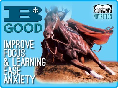 B*GOOD - Improve Focus - Equine Supplement  - 5lb Bag - 20 Feedings