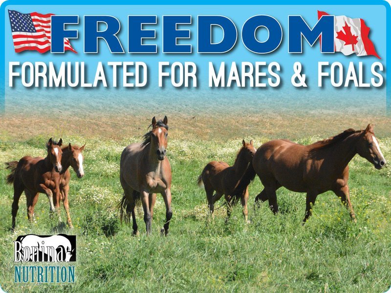 FREEDOM - Mare &amp; Foal Equine Supplement  - 25lb Bag - 1 Horse/6 months