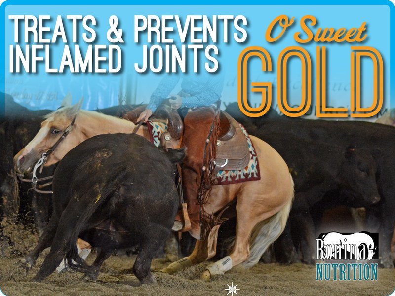 O&#39;SWEET GOLD - Treats &amp; Prevents Inflamed Joints Equine Supplement  - 25lb Bag - Treats 1 horse/3 months