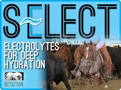 S-ELECT - Electrolytes For Deep Hydration Equine Supplement  - 10lb Bag - 80 Feedings