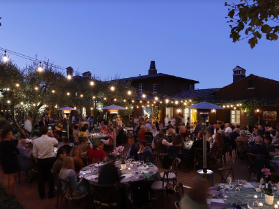 2025 One Mind Music Festival - Day Ticket &amp; VIP Dinner