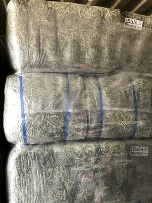 Rhodes Small Hay Bales
