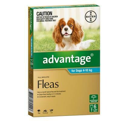 Advantage For Dogs 4-10kg 6 Pack
