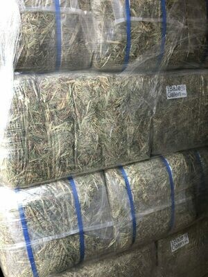 Oaten Small Hay Bales