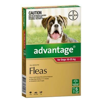 Advantage For Dogs 10-25kg 6 Pack