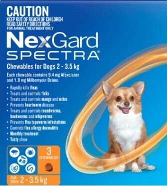 NexGard 6 Dog Chewables for Fleas, Ticks
