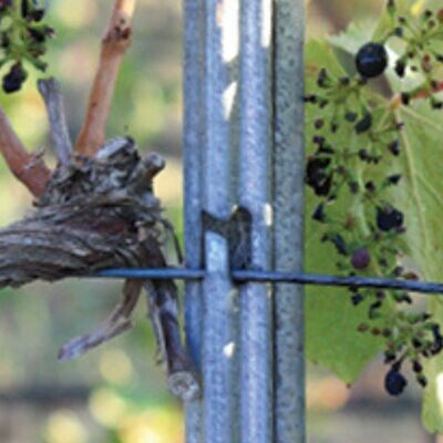 Vineyard Hardware