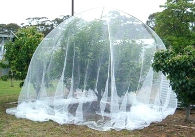 Fruit Tree Netting