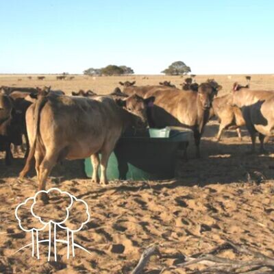 Troughs