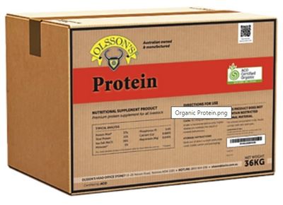 Olsson's Organic Protein Block